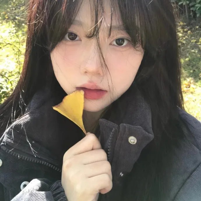 有女于归